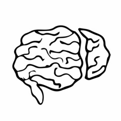 doodle brain icon with hand drawn style vector isolated background