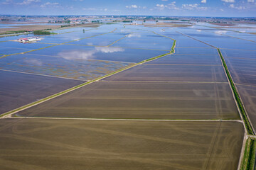 Aerial view paddy fields, flooded fields for rice cultivation in Italy