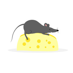 Сute mouse on cheese.Gray rat.