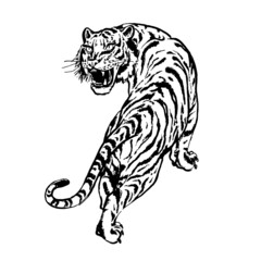 Fototapeta na wymiar Year of the tiger 2022 - sketch black and white