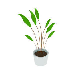Isometric plant