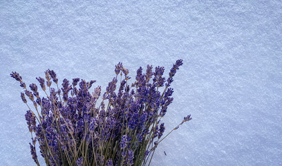 a bouquet of dry lavender on the snow on a sunny day, color trend 2022,