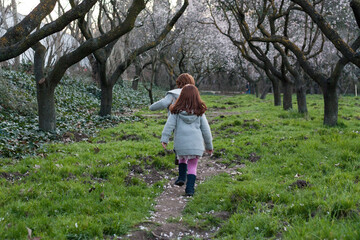 Entre almendros