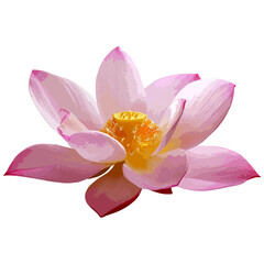 Vector illustration of pink lotus flower