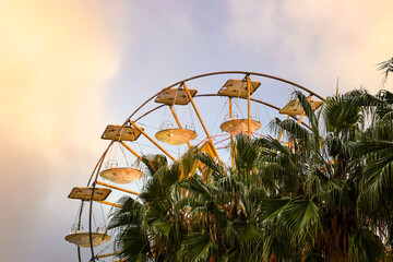 Close-up of the high-section of a panoramic wheel behind palm trees against sunset sky, Sanremo,...