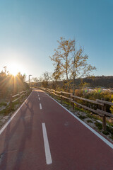Bike lane in São Pedro do Sul with the sun shining like a star in the background