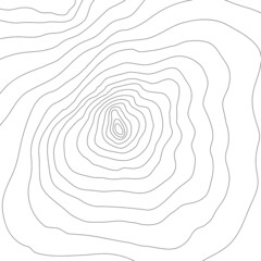 Fototapeta na wymiar The stylized height of the topographic map contour in lines and slim contours. Black on white. Concept of a conditional geography scheme and the terrain path, earth. Vector illustration.