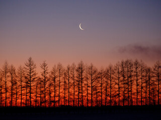 夜明けの空