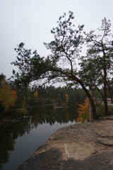 Obraz premium trees on the river