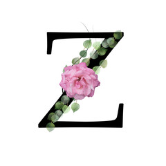 Capital letter Z decorated with pink rose and leaves. Letter of the English alphabet with floral decoration. Green foliage.
