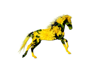 Horse Animal Sunflowers Icon Logo Symbol illustration