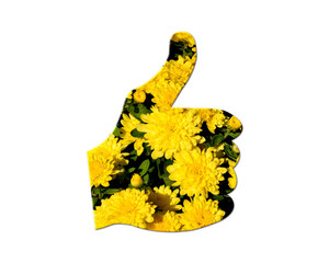 Thumbs Up, Like Sunflowers Icon Logo Symbol illustration