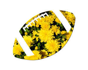 American Sports football Sunflowers Icon Logo Symbol illustration