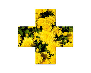Doctor Health Nurse Cross Sunflowers Icon Logo Symbol illustration