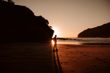 A silhouette of a person standing on the beach at sunset