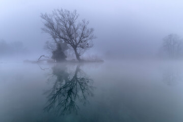 Obraz na płótnie Canvas river in the fog