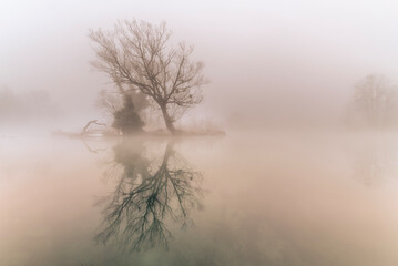 Fototapeta na wymiar river in the fog
