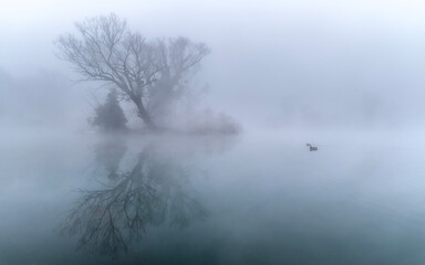 river in the fog