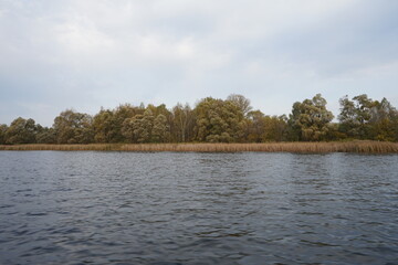 lake in the park