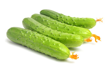 Green cucumber on the white background