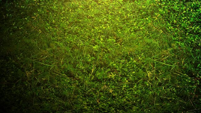 Mystical deep green grass texture, motion horror, mystical and Halloween style background