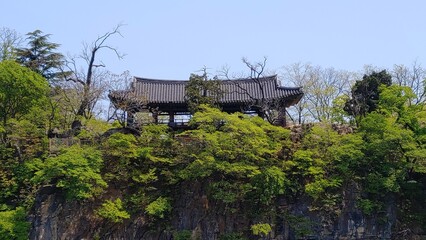 The beauty of Korea.