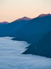 mountains in the fog