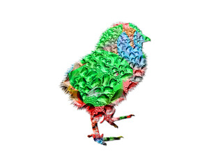 chick chicken Colorful Water Rain Drops Icon Logo illustration
