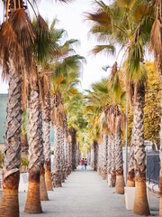street in the city