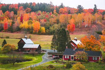 Autumn in Vermont, New England, USA, farm - 484788840