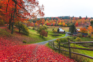 The most beautiful farm, Sleepy Hollow Farm, Vermont Leaf peeping. Autumn in New England is known for its vibrant colors and picturesque beauty. USA barns, farmhouses - 484788881