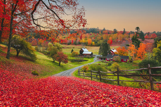 Autumn in Vermont, New England, USA, farm. The autumn color of the trees and flora in New England has been reported to be some of the most brilliant natural color in the United States
