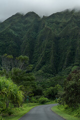 Ho’omaluhia Botanical Garden, Koolau Range, Oahu Hawaii - 484789442
