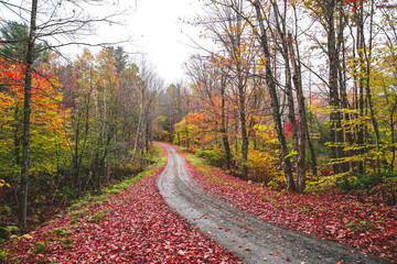 Autumn in Vermont, New England, USA, 