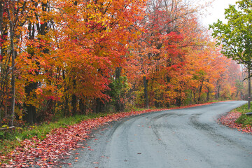 Obraz premium Autumn in Vermont, New England, USA, 