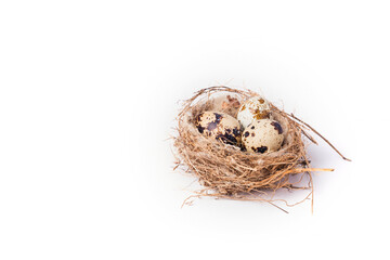 Naklejka na ściany i meble Three quail eggs in a nest on a white background
