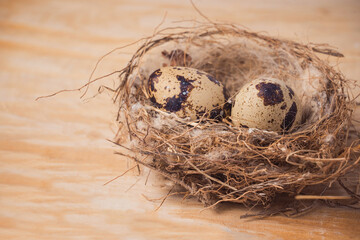 Two quail eggs in a nest on a wooden textured background