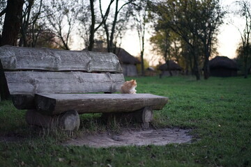 person sitting on a bench