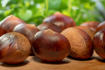 Autumn delicacies, chestnuts, white, white background