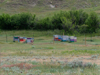 Fototapeta premium Colorful Bee Boxes in Rural Montana