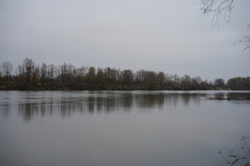 morning in the forest