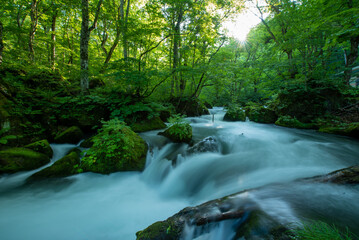 奥入瀬渓流