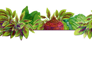 Watercolor hand drawn vegetable frame, isolated on white background.