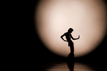 Fototapeta na wymiar Dance silhouette under moonlight