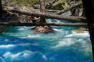 D'Urville river, Nelson Lakes National Park, New Zealand.