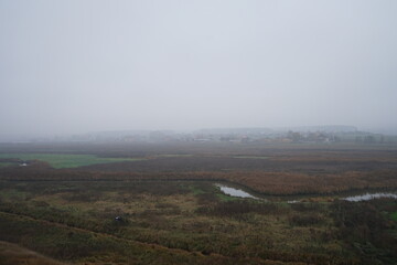 fog in the mountains