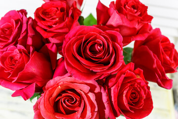 photo red, pink, purple roses