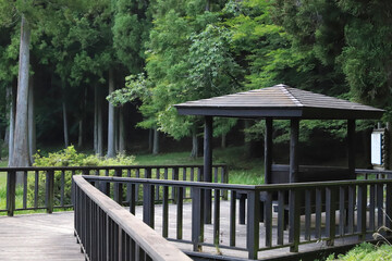 wooden bridge in the forest