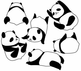 パンダの赤ちゃん © mshinkai