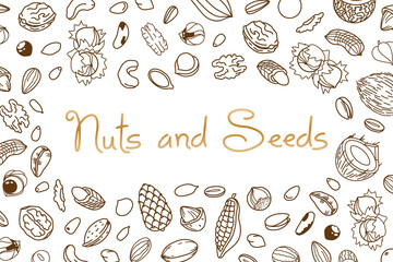 Vector frame, packaging design of nut and seed mix or snack. Walnut, peanut and sunflower seeds. Almond, pistachio, cashew, hazelnut and macadamia. Illustration in line art style - 484808024